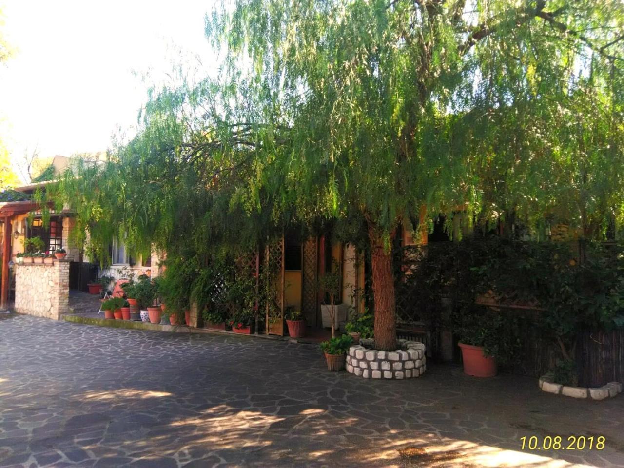I Gerani Rossi Hotel - Rome — Foto 3